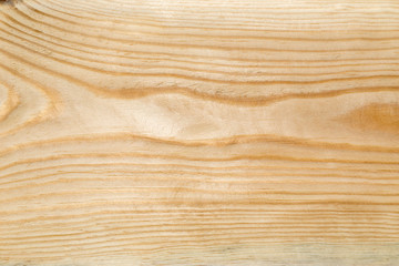Natural (yellow) fresh wood background texture.