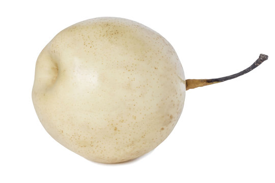 one ripe white Chinese pear