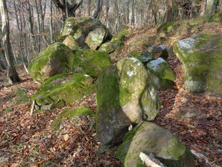 Great stones in Caucasian forest, sacred place