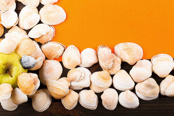 The shells ,apple and paper stand on the table