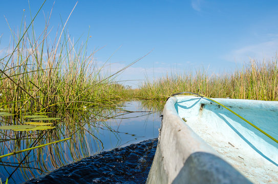 Cruising trough green reeds in a kayak under blue sky in the Okavango Delta in Botswana