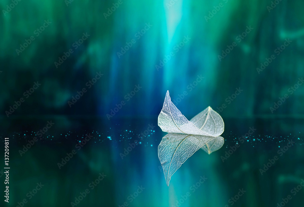 Poster White transparent leaf on mirror surface with reflection on green background macro. Abstract artistic image of ship in waters of lake. Template Border natural dreamy artistic image for traveling.