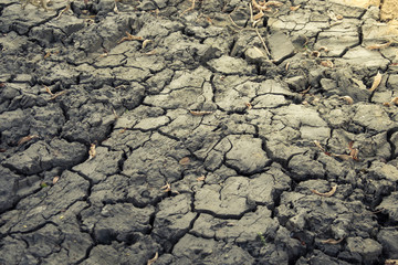 Dry land on ground
