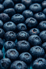 Freshly picked blueberries
