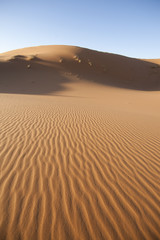 Fototapeta na wymiar dune di sabbia del deserto