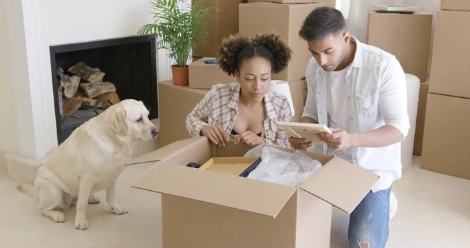 Golden retriever watching his owners pack up their belongings in cardboard boxes to move house