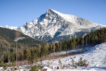 Fototapeta premium Peak Krivan in High Tatras, Slovakia