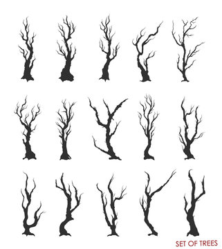 set of dead trees and branches
