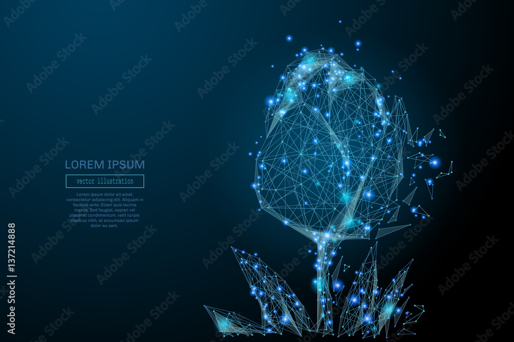 Leinwandbilder Abstract image of a tulip in the form of a starry sky or space, consisting of points, lines, and shapes in the form of planets, stars and the universe. Vector business