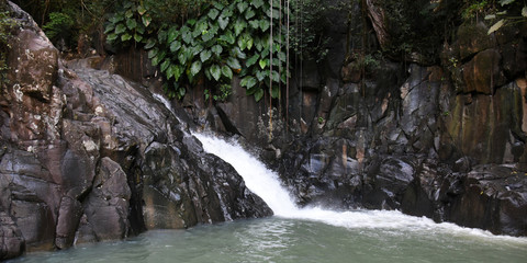 saut d'acomat en guadeloupe