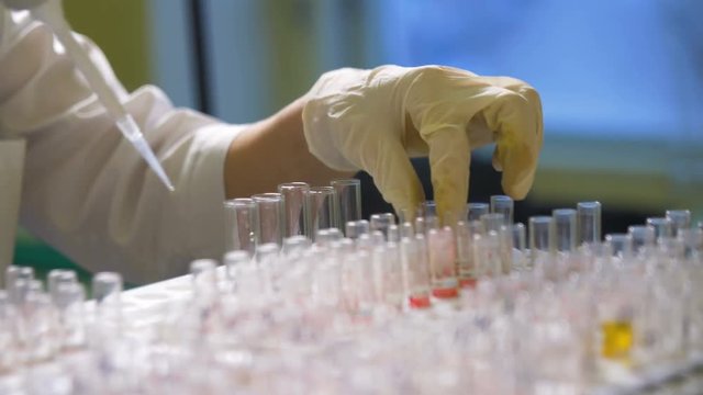 Doctor, scientist working with blood samples in laboratory. 4K.
