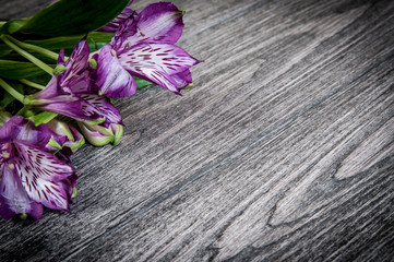 flowers on wooden background. Free space for text, closeup