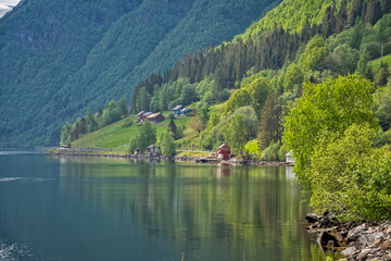 Fototapeta na wymiar Hardangerfjord, Norway.