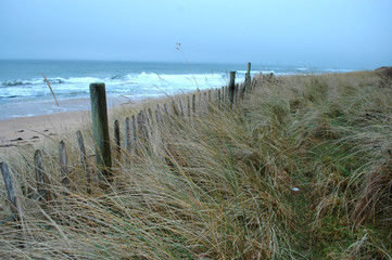 Wooden fence beside a beach.