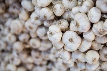 Fresh garlic in market , Organic garlic vegetable , Food background