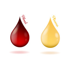 Vector illustration of drops of blood and drops of blood plasma