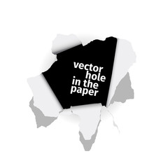 Vector illustration of the hole in the paper