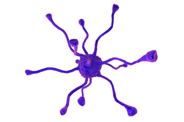 3D illustration of a neuron isolated on white background