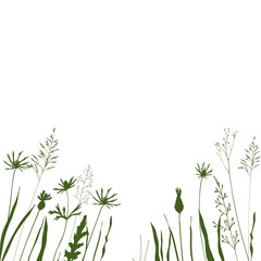 Fototapeta na wymiar Vector background with wild meadow flowers, herbs and grasses.