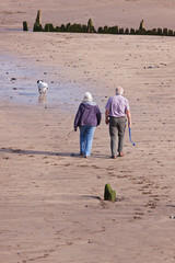 Two senior citizens exercising their pet on a bright and breezy autumn day on a beach in Devon UK popular with dogwalkers