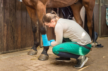Junge Frau bandagiert ihr Pferd vor dem Reiten