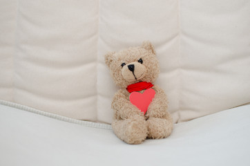Teddy bear with heart