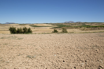 Road to Santiago from Los Arcos to Logroño