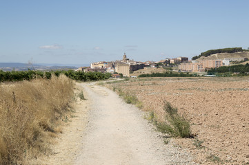 Road to Santiago from Los Arcos to Logro&ntilde;o