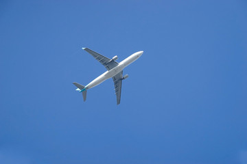 飛行機