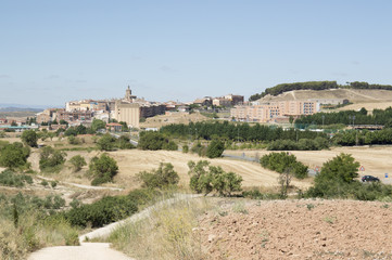 Fototapeta na wymiar Road to Santiago from Los Arcos to Logroño