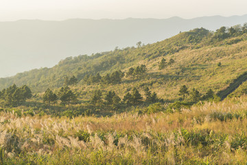 Obraz premium Mountain landscape at evening time.