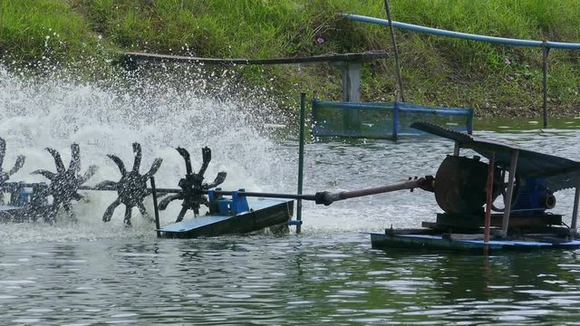 Water aeration turbine in farming aquatic. Shrimp and fish hatchery business in Thailand, 4k
