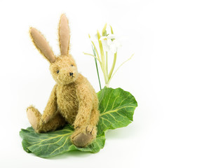 Cute toy bunny rabbit looking over shoulder. Copy space.