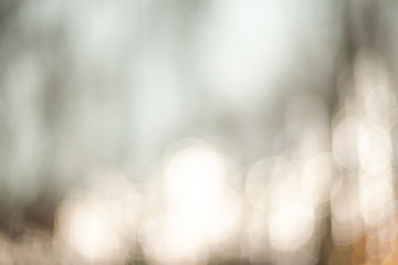 Beautiful Nature blurred light abstract background - Natural outdoors bokeh background with soft...