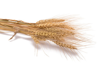 barley rice isolated on white background.