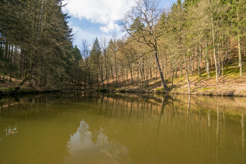 Knöpfels Teiche bei der Drachenschlucht im Thüringer Wald, Eisenach