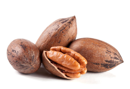 four pecan nuts isolated on white background