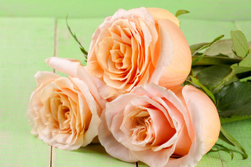 three fresh beige roses on a green wooden background