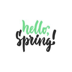Fototapeta na wymiar Hello, spring - hand drawn lettering phrase isolated on the white background. Fun brush ink inscription for photo overlays, greeting card or t-shirt print, poster design.
