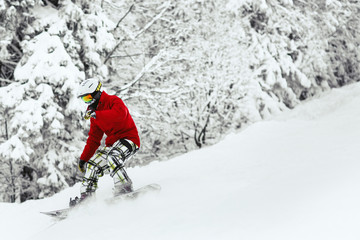 Man in red ski jacket and white helmet goes down the snowed hill in the forest