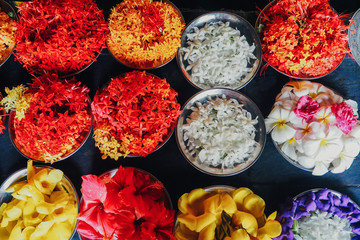 Close up, cupcakes on tray decorated with pink flowers