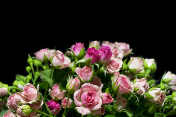 Obraz na płótnie Canvas pink roses on the black background