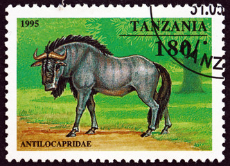 Postage stamp Tanzania 1995 Antilocapridae
