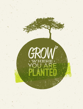Grow Where You Are Planted Motivation Quote on Recycled Paper Background