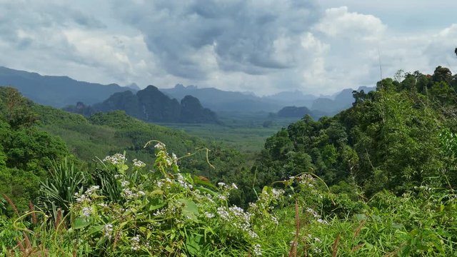 Landscape with Rainforest of Khao Sok National Park in Thailand, 4k
