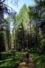 Fototapeta premium Wanderin unterwegs bergauf in Wald