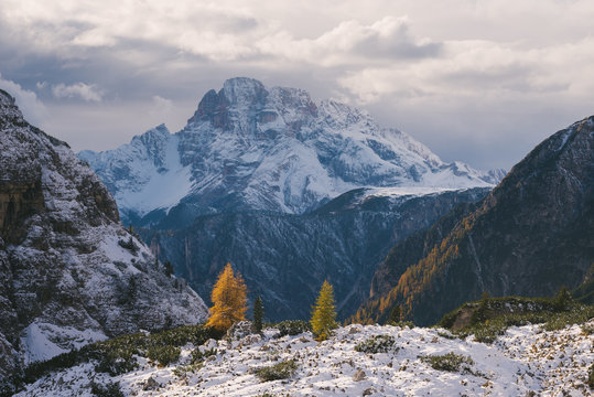 Tre Cime di Lavaredo area, South Tyrol, Dolomite Alps, Italy