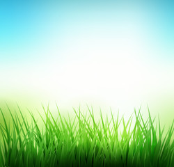 Obraz na płótnie Canvas Natural green grass background