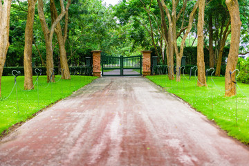 walkway covered tunnel Trees