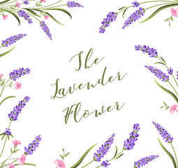 The lavender elegant card with frame of flowers and text. Lavender card for your invitation. Vector illustration.